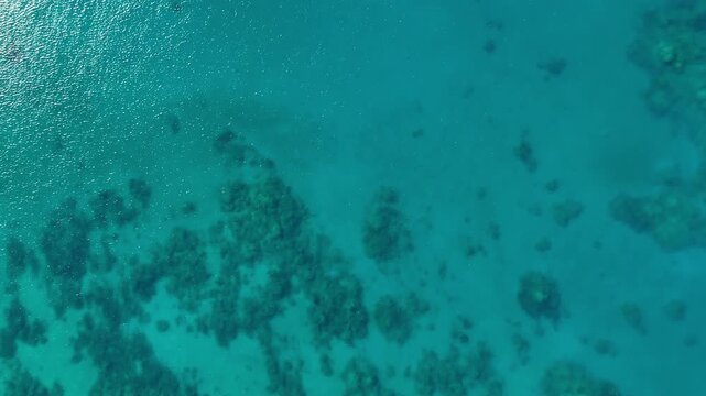 Aerial drone view above the turquoise shoreline of Eua, Kingdom of Tonga, where crystal-clear water reveals coral formations beneath the surface near the untouched tropical coast.