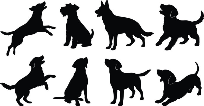 Silhouettes of Dogs in Various Poses.