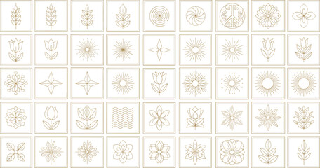 Collection of floral botanical and sunburst square icons vector elegant ornamental symbols decorative line art design set