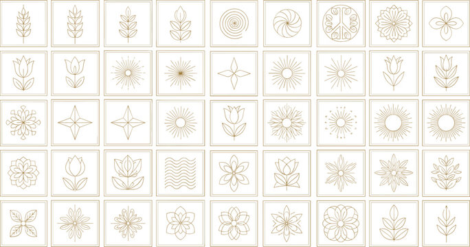 Collection of floral botanical and sunburst square icons vector elegant ornamental symbols decorative line art design set