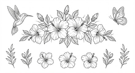 Fototapeta premium Hand-drawn botanical line art set featuring hibiscus flowers, a graceful hummingbird, and a delicate butterfly, ideal for tropical floral design