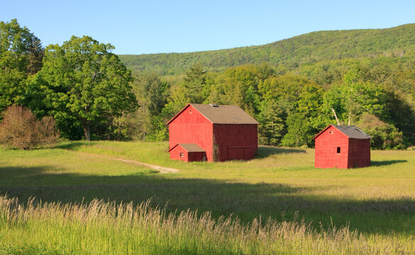 Rural landscape with two red barns in the Berkshires, Massachusetts
