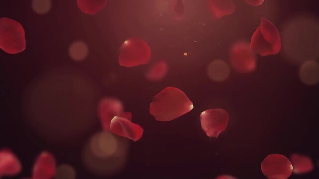 Serene video of gentle red petals falling creating a magical peaceful atmosphere for relaxation and nature lovers