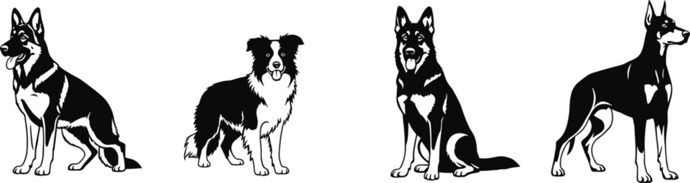 German Shepherd, Border Collie, Doberman Pinscher, dog breed silhouettes, black and white vector illustration, pet animal graphic design