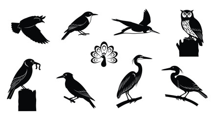 Fototapeta premium Collection of various bird silhouettes perched and flying.
