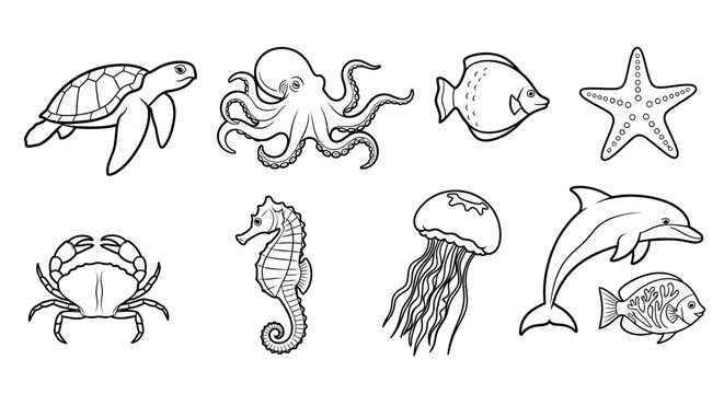 Collection of hand-drawn sea creatures in black and white outlines.
