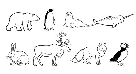 Collection of arctic animals in outline style. © milenialdesastudio