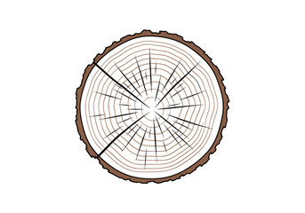 Detailed cross section of tree trunk showing growth rings and bark texture isolated on white background for natural design elements © Jonmart