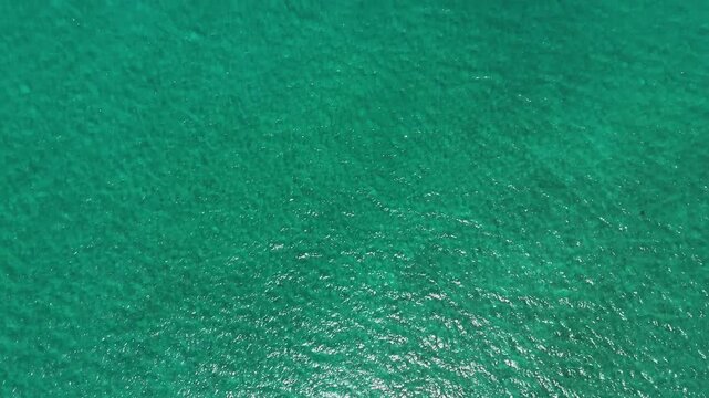 Top-down drone view of pure turquoise water near Eua Island, Kingdom of Tonga, capturing crystal-clear tropical sea surface with minimalistic composition and serene Pacific atmosphere.