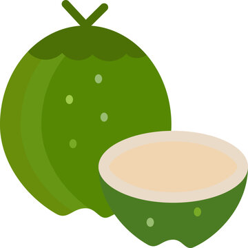 Tropical coconat vector illustration