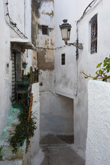 Fototapeta premium Narrow alley in Tetouan medina. Whitewashed walls, green steps, potted plants, vintage lamp, and charm of historic architecture