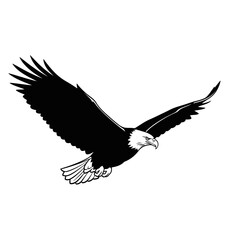 Fototapeta premium Bald Eagle Flying Illustration, American Eagle Mascot Logo, Powerful Bird of Prey Vector Style