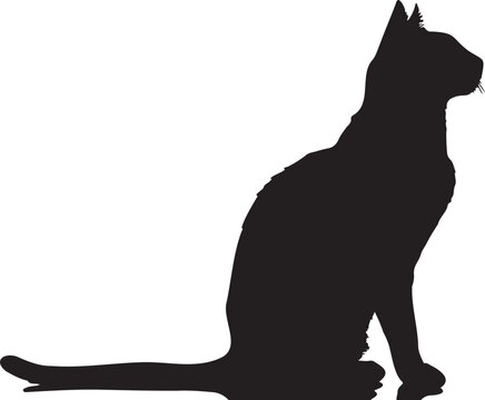 Sitting domestic cat vector silhouette with pointed ears and long tail, isolated on transparent background, ideal for pet shop branding or animal rescue graphics.