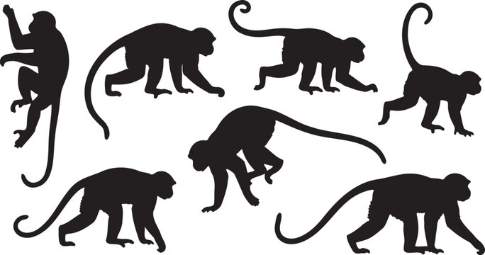 Vector black monkey silhouettes in various dynamic poses, including climbing, walking, and crouching, isolated on a transparent background for animal-themed design resources.