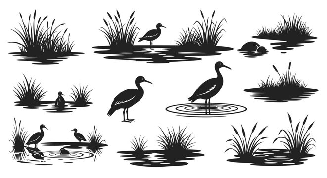 Set of black silhouettes of ducks, geese, and reeds in water, creating a serene wetland scene.