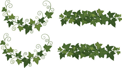 Decorative green ivy vine border set vector illustration with swirling leaves and botanical ornamental design elements © Sumon Creative