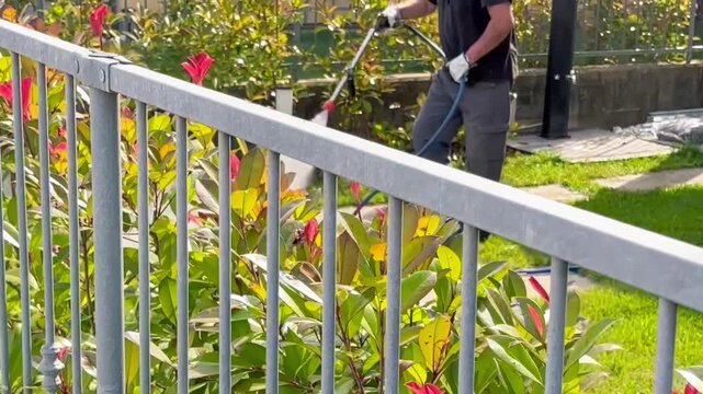 Professional exterminator performing mosquito disinfestation outdoors in backyard