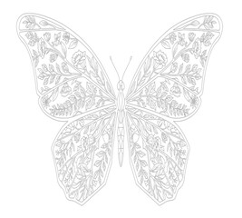 Intricate butterfly drawing with detailed patterns © SADEK30