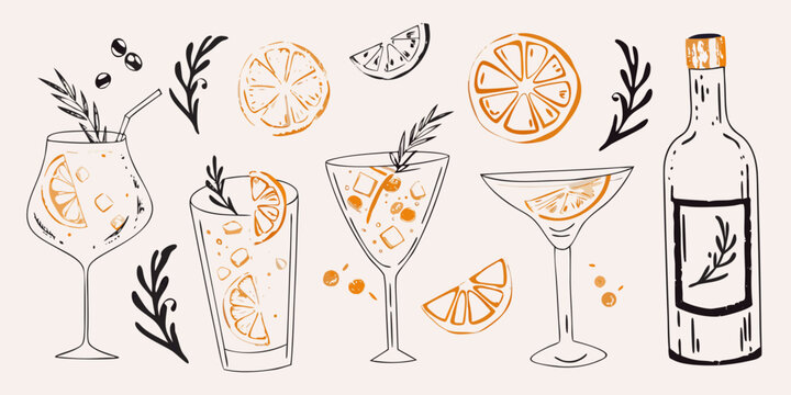 Sketch of citrus cocktails a bottle and botanical illustrations