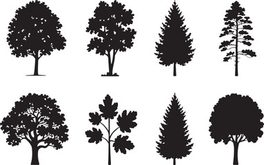 Illustration of set of eight diverse tree silhouettes in black and white