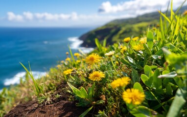 Coastal Cliffs with Wildflowers and Scenic Ocean View Under Blue Sky