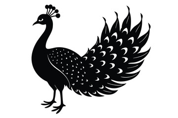 Peacock, Elegant Bird Silhouette