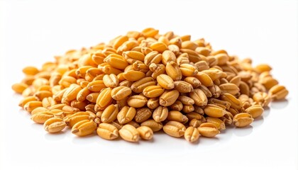 "A pile of golden-brown wheat grains on a clean white background, symbolizing agriculture, food production, nutrition, and the raw form of a global staple ingredient."