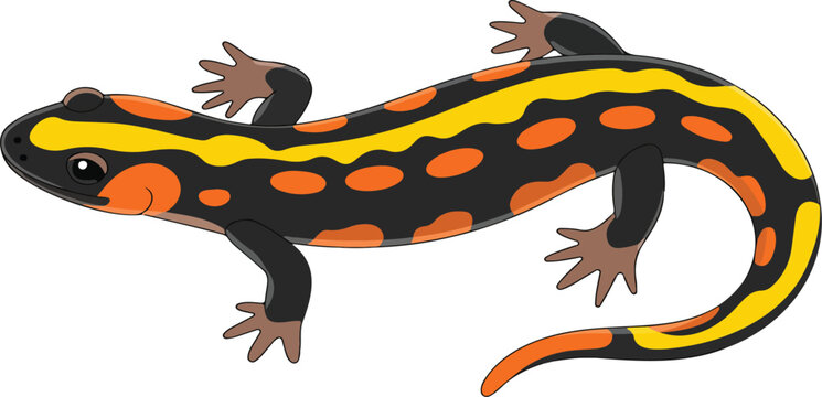 Cute Salamander Line Icon Collection &ndash; Nature, Wildlife, and Reptile Fun