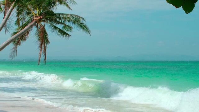 Tropical beach with turquoise ocean waves and palm tree, serene coastal video background perfect for relaxation or screen saver.