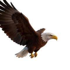 Obraz premium Flying Bald Eagle with Outstretched Wings