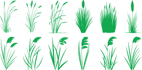 Fototapeta premium Grass Clump Vector Icon Set Garden and Landscape Foliage