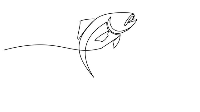 Self animated continuous single line drawing of salmon fish. 4k video