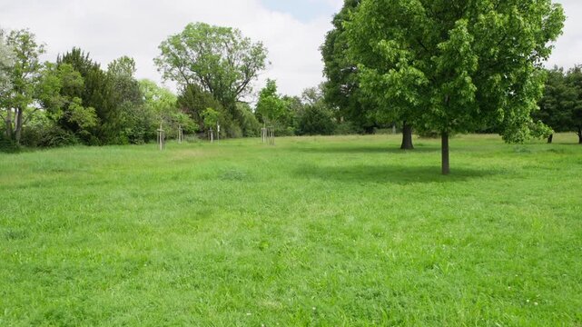 Zentralfriedhof cemetery grass field with leafy trees as the camera moves forward through a quiet green meadow under soft daylight, peaceful park-like landscape in Vienna, Austria.