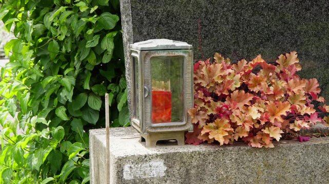 Lantern on gravestone at Zentralfriedhof, Vienna, with red-leaf coral bells (heuchera) and green dogwood shrub (cornus). Quiet cemetery memorial scene in daylight.