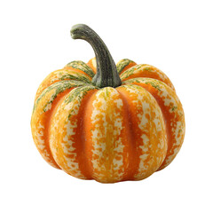 Single mini pumpkin isolated on with white backgroud(1)