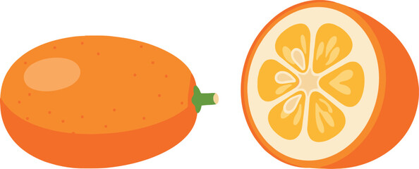 Fototapeta premium Illustration of a whole and halved kumquat fruit