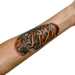 Tiger tattoo arm of person hand with black background and orange and.
