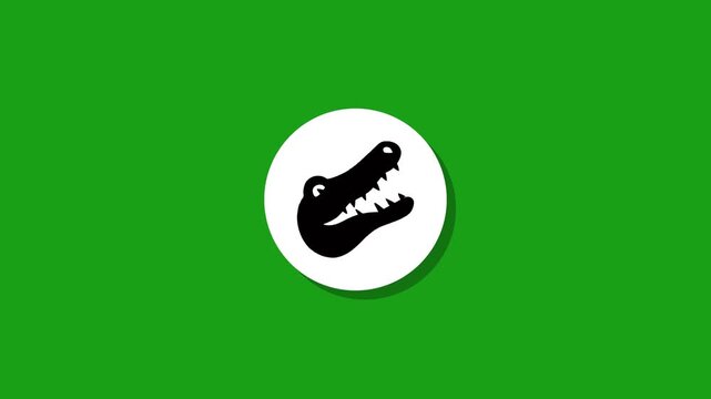 A motion graphic animation of a crocodile head icon appearing on a white circle with a green screen background