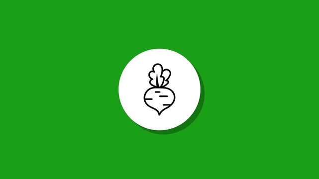 Minimalist beetroot icon animation on green background with white circle transition for cooking and healthy eating concepts