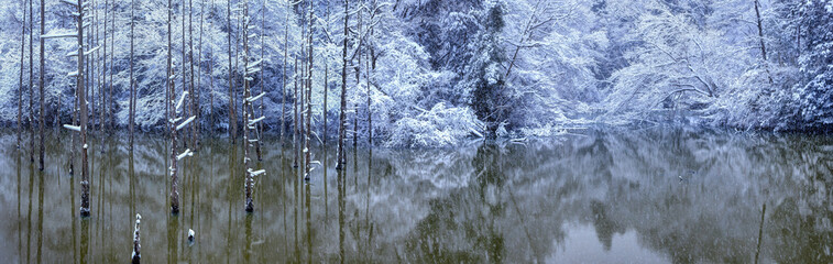 雪の都立小山内裏公園水没林（パノラマ）