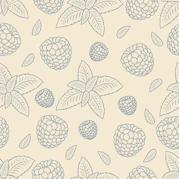 Seamless raspberry and mint pattern hand drawn berries and herbal leaves repeating background botanical fruit texture vintage outline illustration for fabric textile wrapping paper packaging design