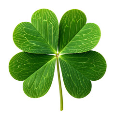 Four leaf clover with green leaves on it back and white outline.