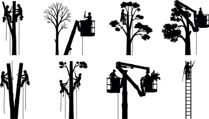 Tree trimming and arborist work silhouettes collection featuring professional workers pruning trees using ropes, ladders, bucket lifts, forestry maintenance activity icons isolated on white background © Rasma