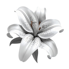 White lily flower with black spots on it petals and petals are.