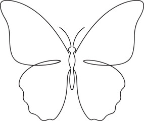 Minimalist Symmetrical Butterfly Outline and Line Art Sketch
