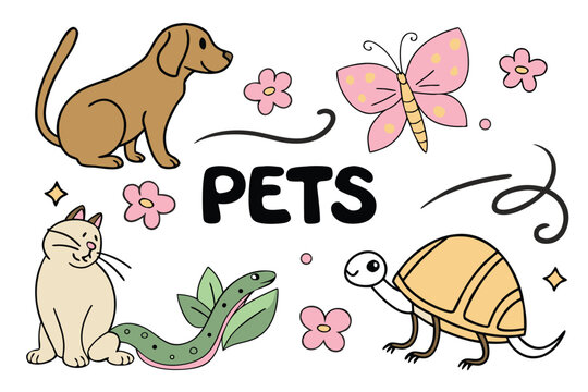 Colorful illustration depicting pets including a dog cat butterfly snake and tortoise silhouette high quality professional
