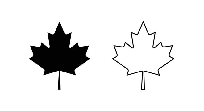 Canadian maple leaf icon design, black and white outline, symbol, vector illustration Vector