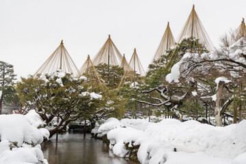 真冬の兼六園