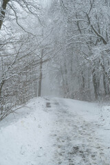 Landscape at the hiking path at the german city Winterberg