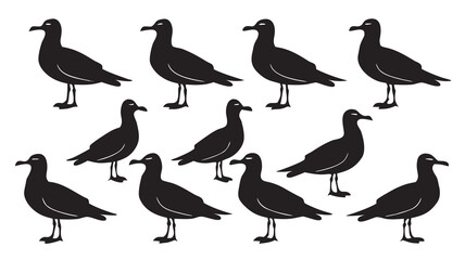 Fototapeta premium A collection of ten black seagull silhouettes standing in a simple organized arrangement silhouette high quality